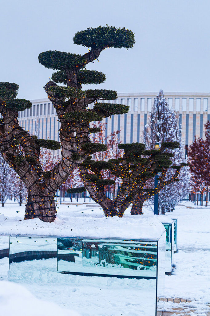 парк Галицкого зимой, Краснодар