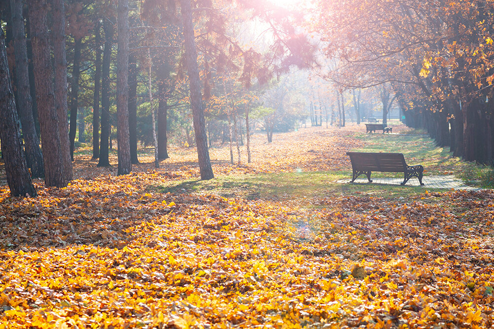 Осенний парк в Краснодаре